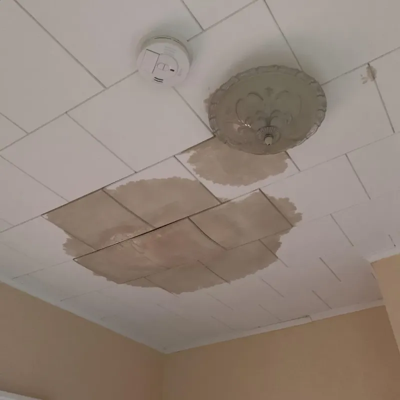 Ceiling Water Damage Repair in Fremont County, IA property